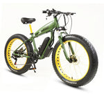 VoltRide City Plus